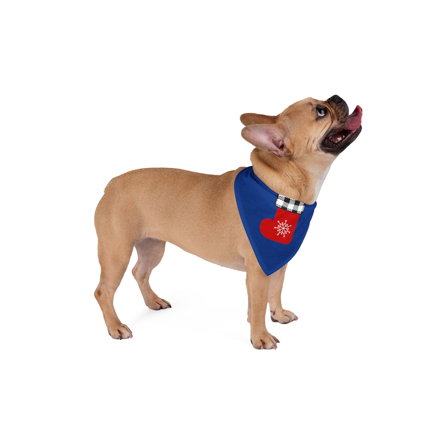 Copy of ~Plaid Stocking~ Pet Bandana