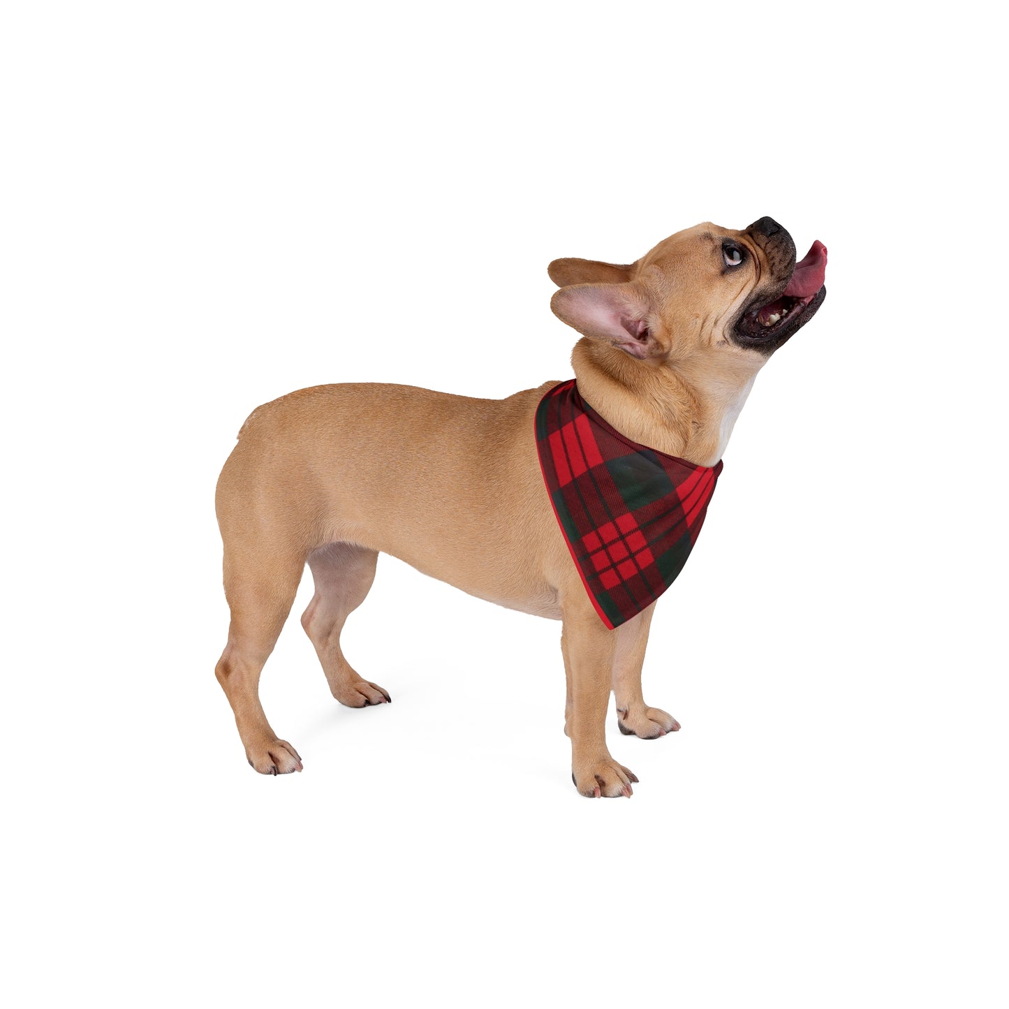 ~Red & Black Christmas Tartan~ Pet Bandana