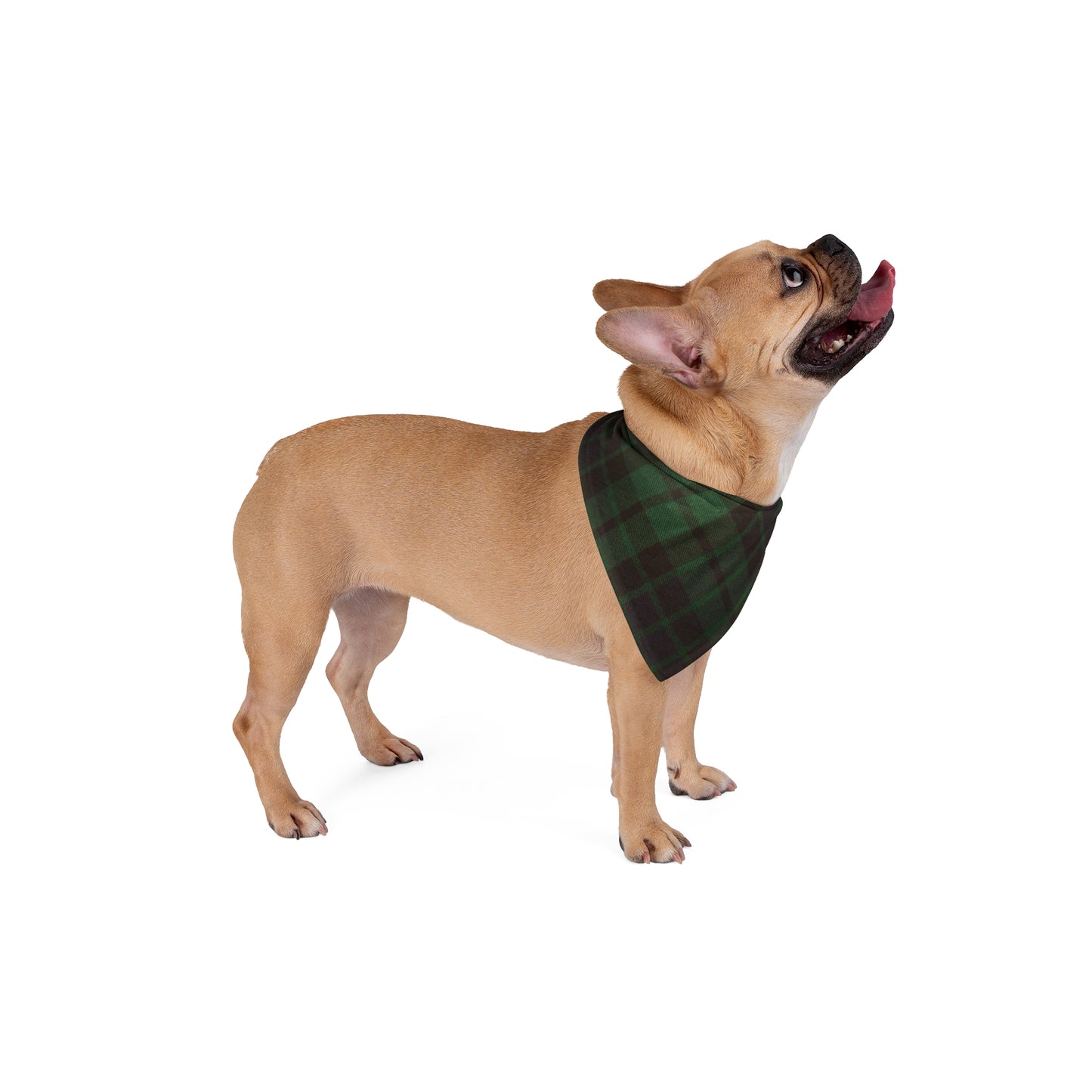 ~Black & Green Christmas Tartan~ Pet Bandana