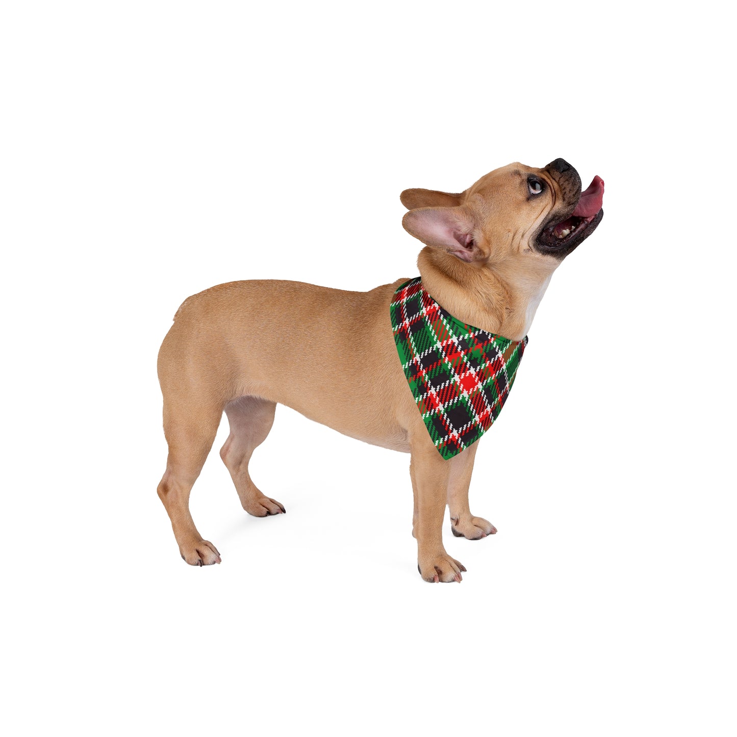 ~Retro Christmas Tartan~ Pet Bandana